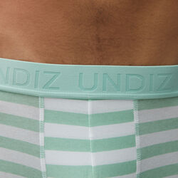 horizontal striped boxer shorts;