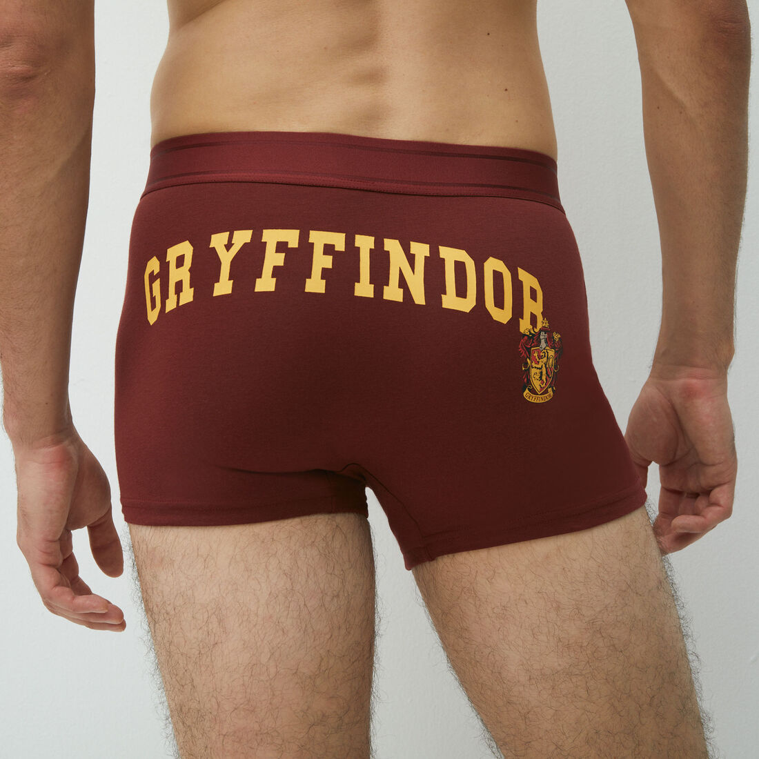 gryffindor slogan boxer shorts;