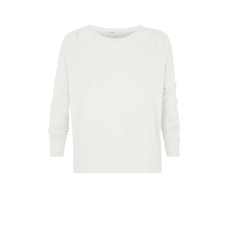 Carryiz long sleeve top light grey.