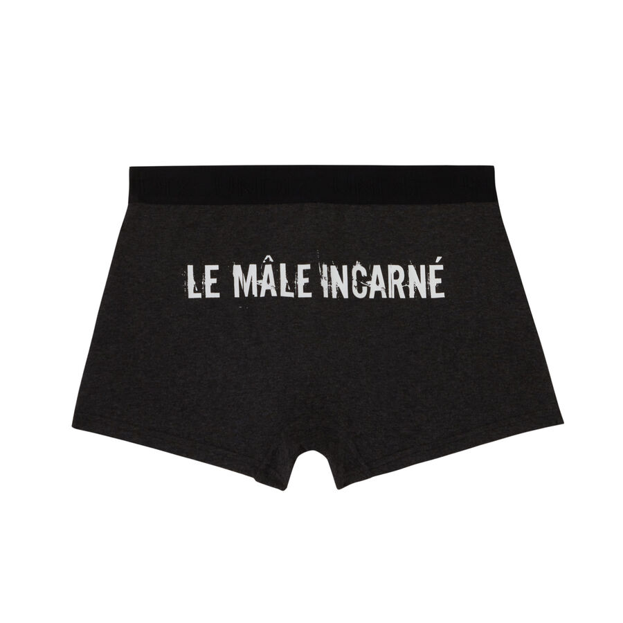"le mâle incarné" slogan boxer shorts - grey;