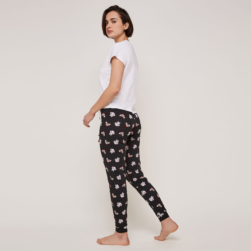 Top licencja Bernard i Bianka biancabookiz Top licencja Bernard i Bianka biancabookiz;