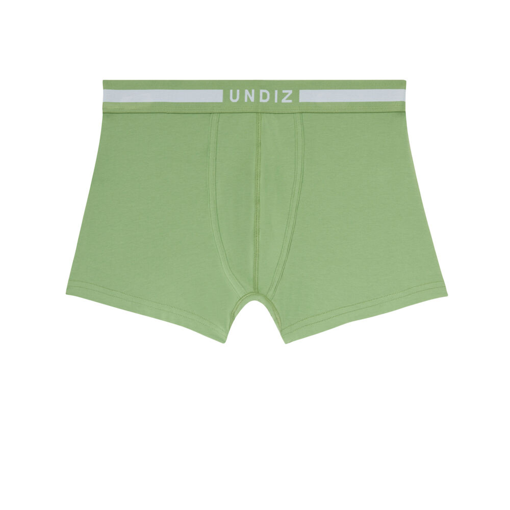 Plain cotton boxers - green green.