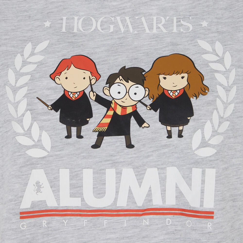 Harry potter pyjama set - grey grey.