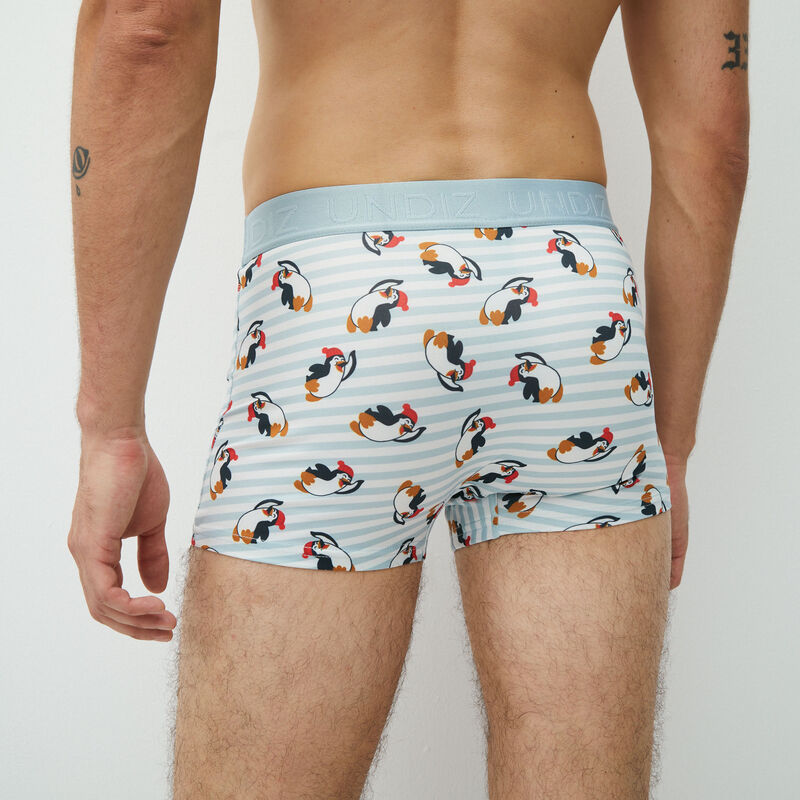 boxers with penguin motif;