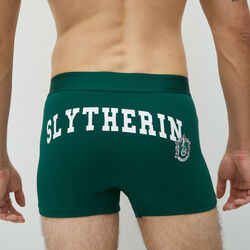 boxer shorts with slytherin lettering;
