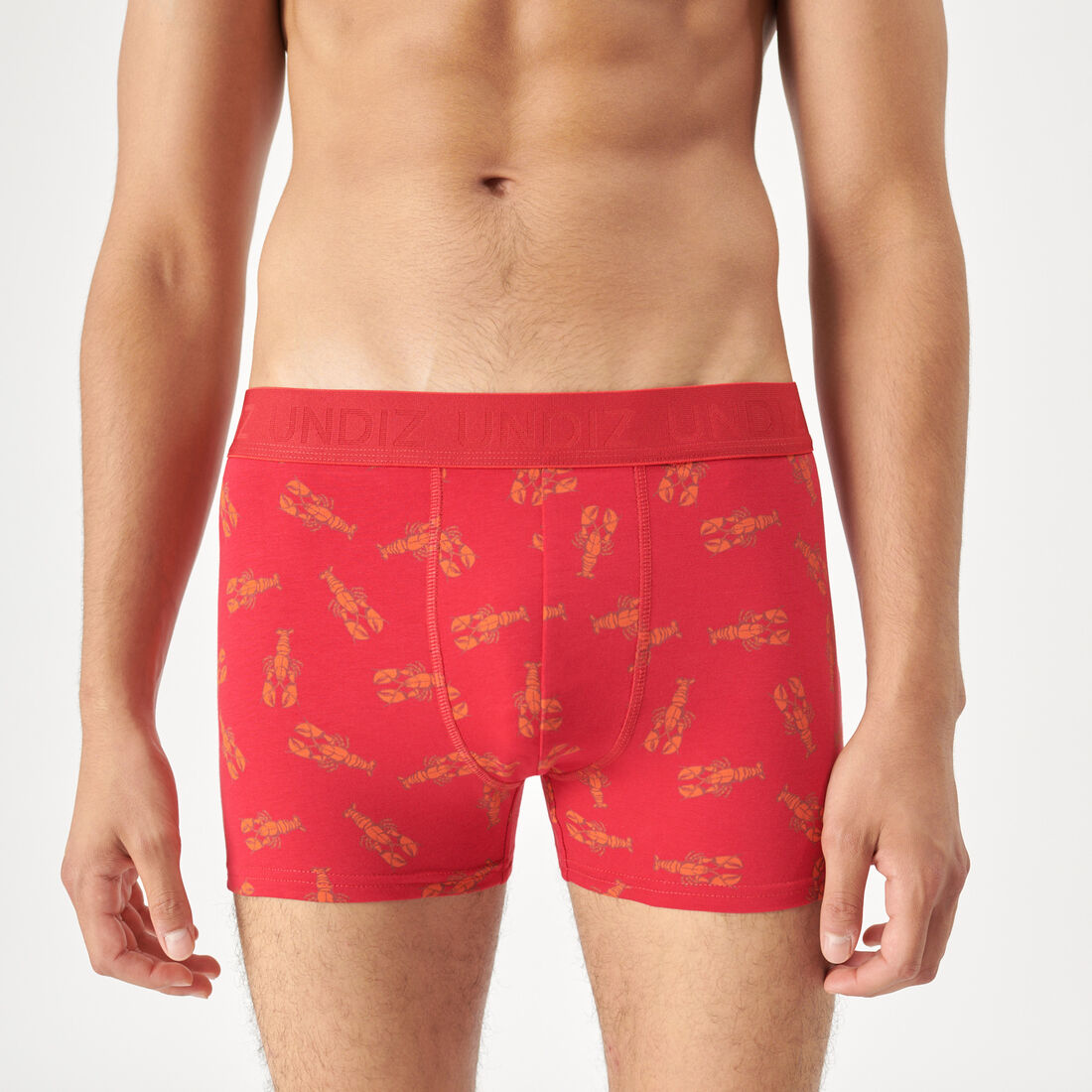 boxer with lobster motifs;