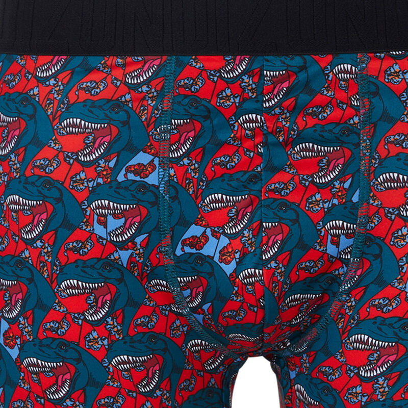Dedeiz print boxer shorts Dedeiz print boxer shorts;