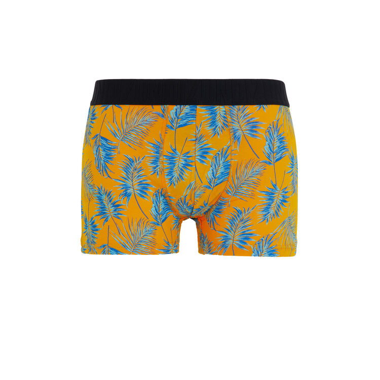 Tropisaffroniz saffron boxers orange.