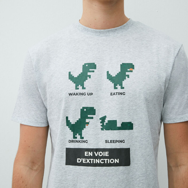 zestaw koszulka i legginsy z dinozaurem;