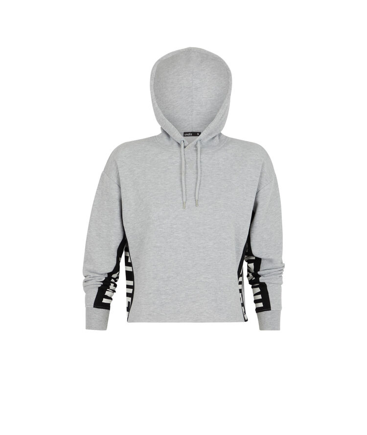 Hellovibiz sweatshirt with hood and bands on the side grey.