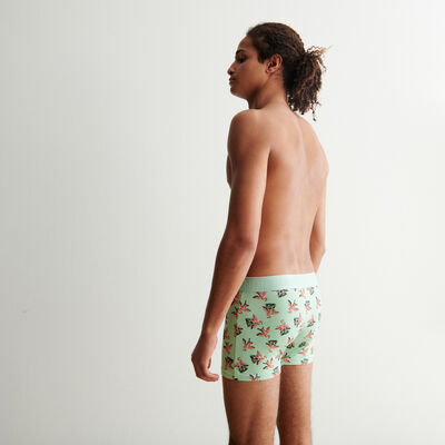flamingo pattern boxers - clay green;