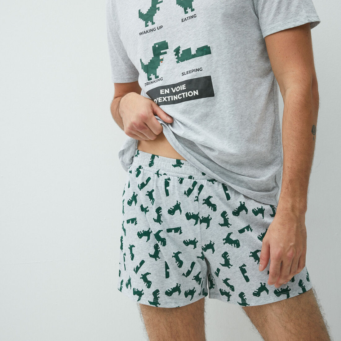 dinosaur t-shirt and boxer shorts set;