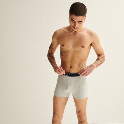 Boxers with "divinement beau" ("dazzlingly beautiful") print - grey melange;