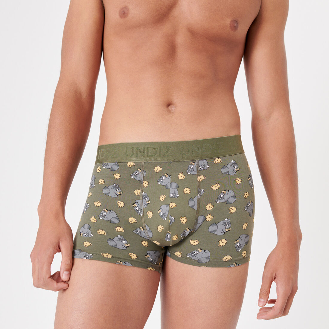 boxer shorts with raccoon print;