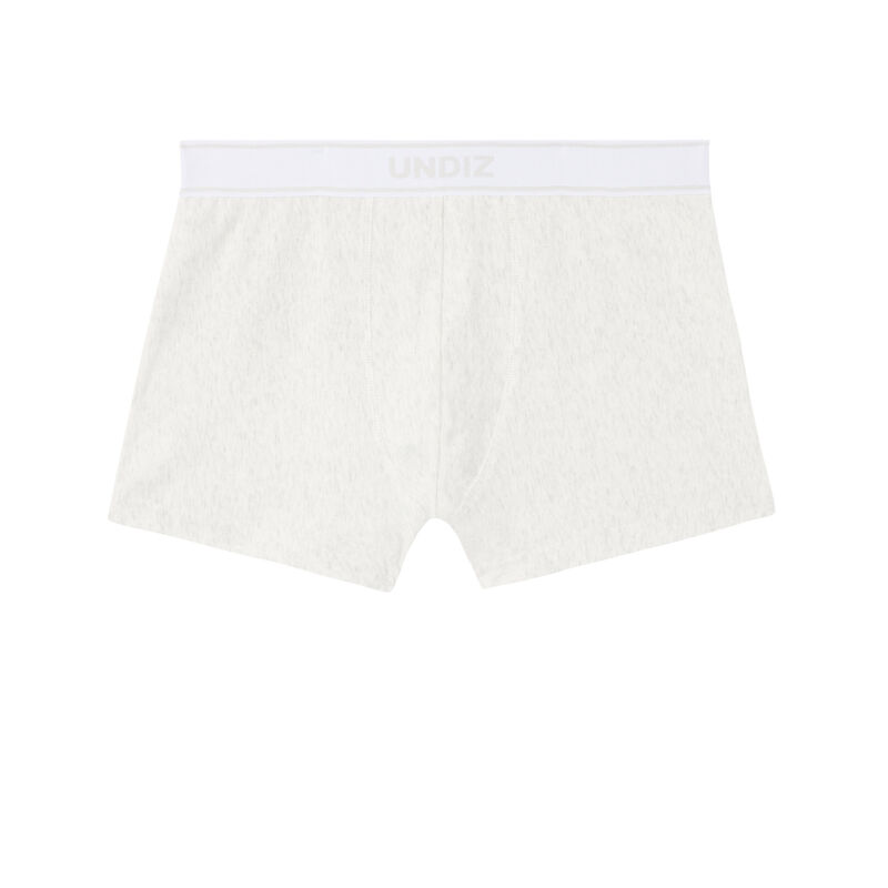 boxer with pleasure giver slogan - light grey boxer with pleasure giver slogan - light grey;