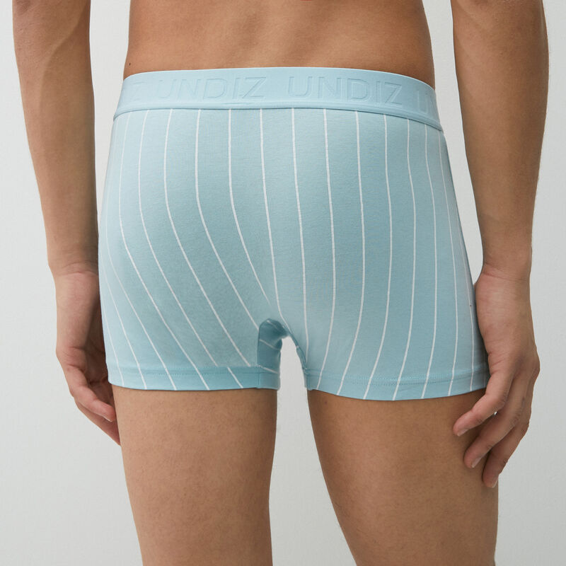 stripy cotton boxers;