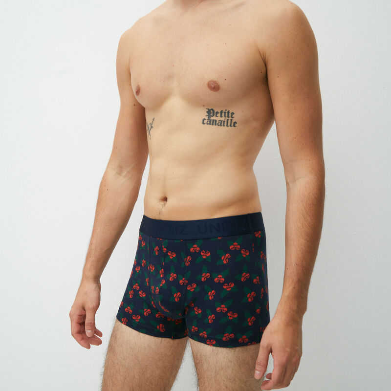 boxers with holly pattern;