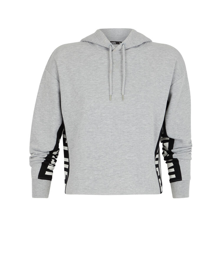 Hellovibiz sweatshirt with hood and bands on the side grey.