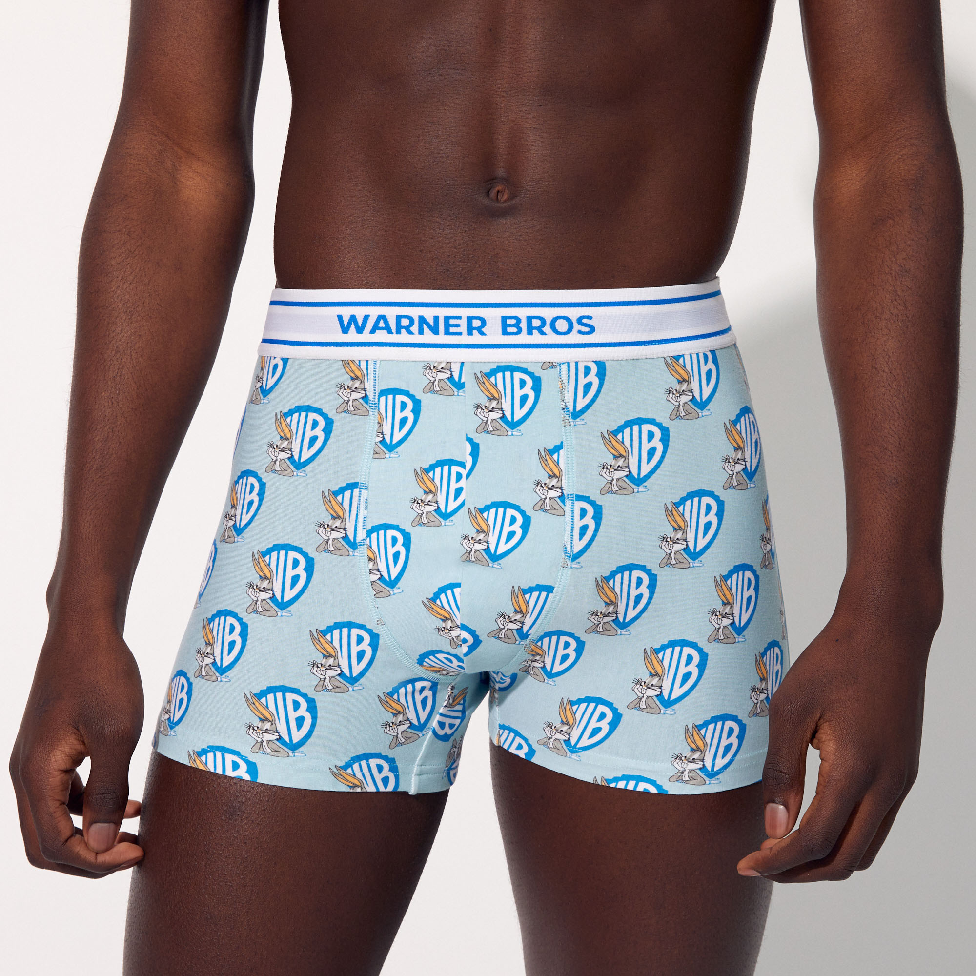 Warner cotton boxer shorts - blue - Undiz